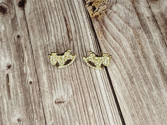 Pair of gold earrings on a wooden surface