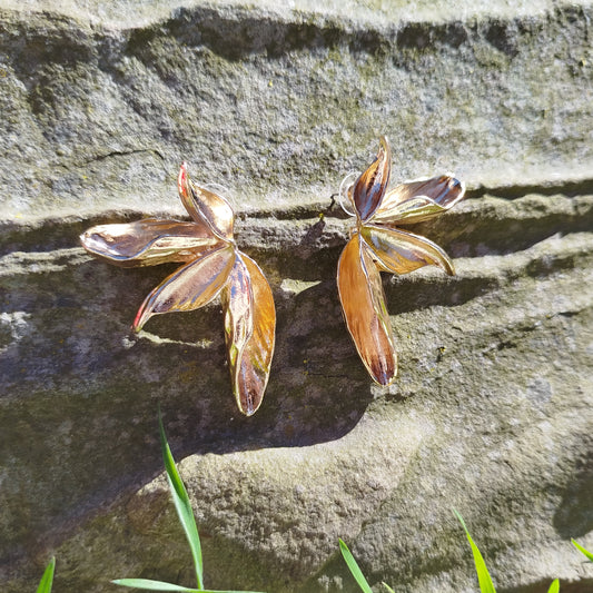 Botaniske Vifte Ørestikker