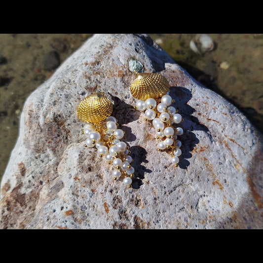 "Ocean Pearl" Muslingeøreringe med Perleklaser