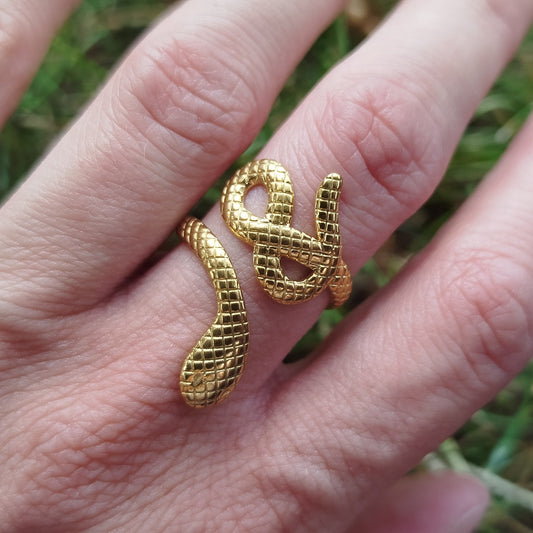 Eternity Snake Ring