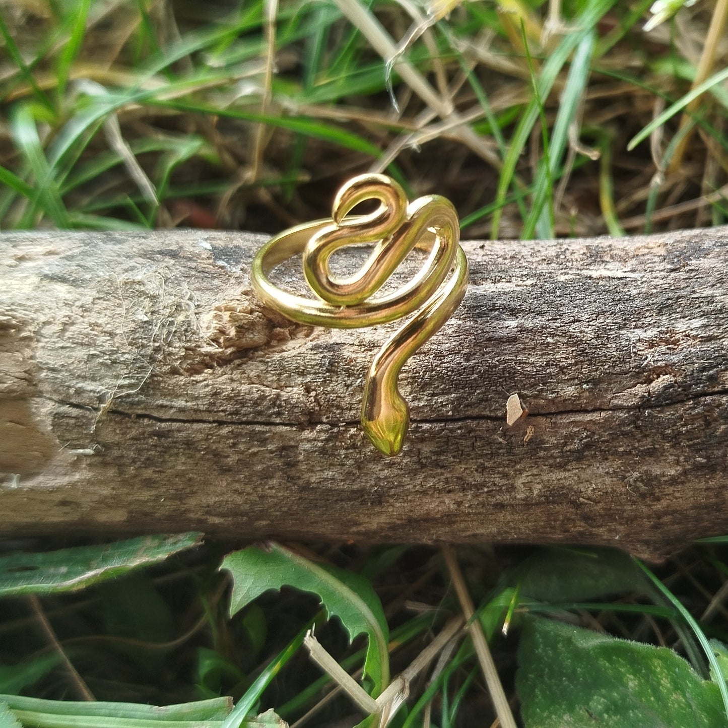 Velvet Viper Ring