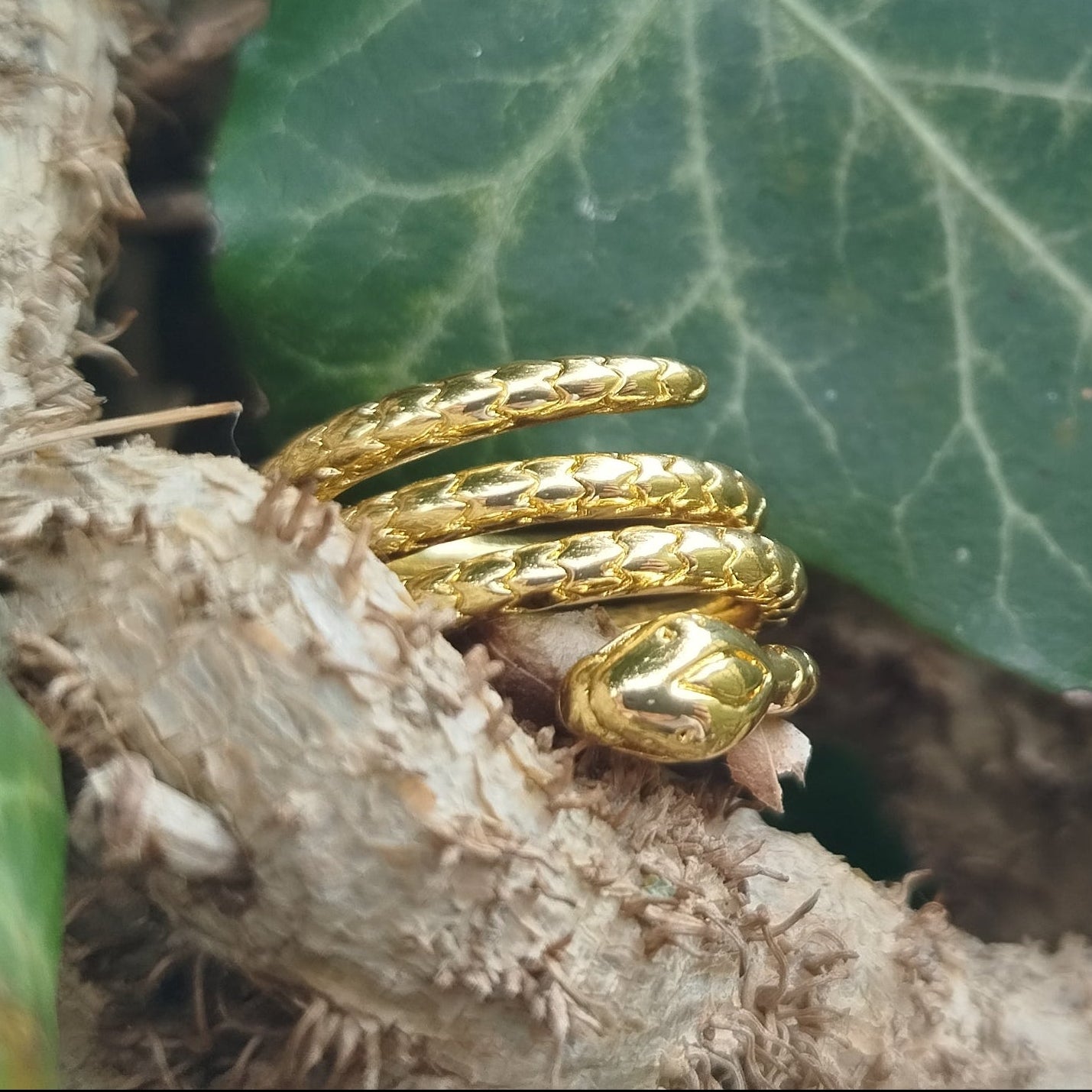 Serpent Wisdom Ring