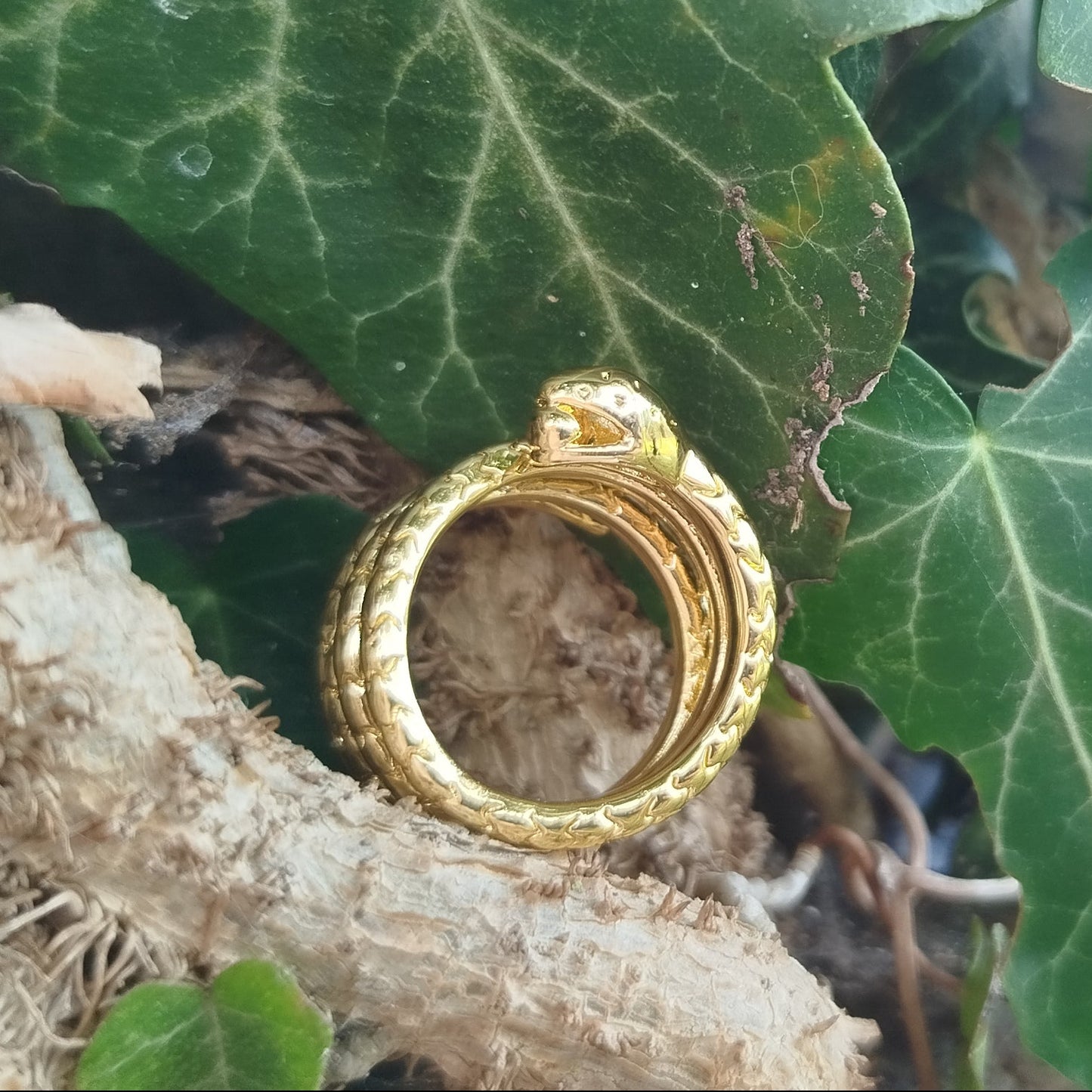 Serpent Wisdom Ring