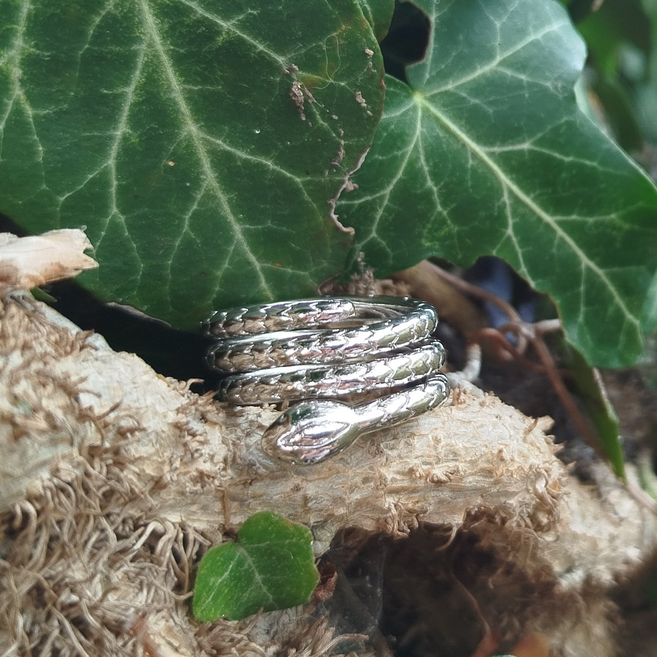 Serpent Wisdom Ring