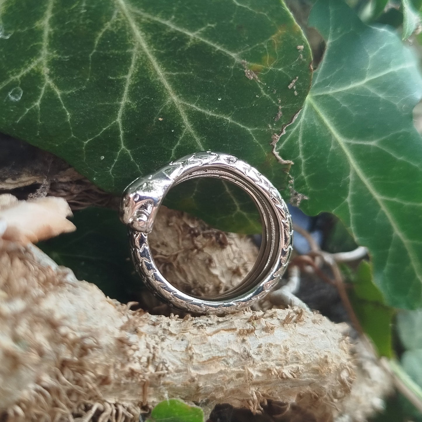 Serpent Wisdom Ring