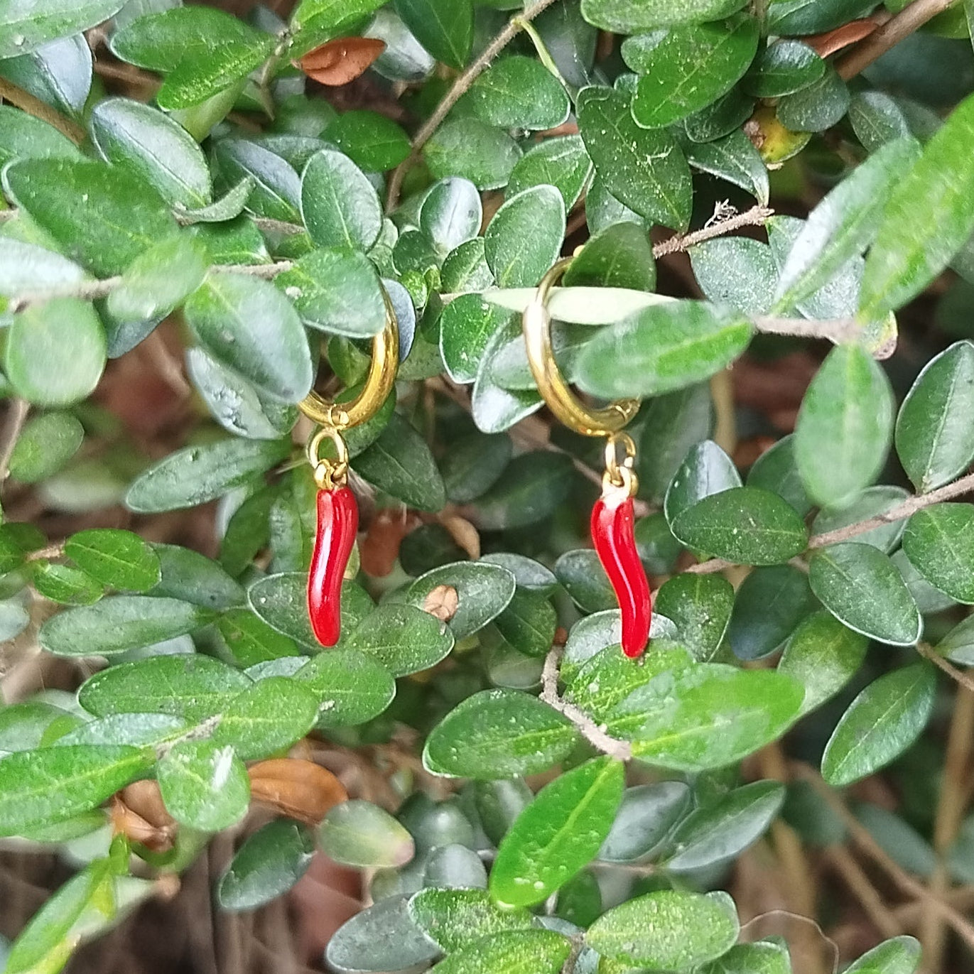 Minimalistiske Chili Øreringe