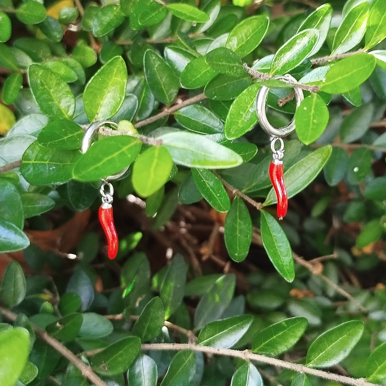 Minimalistiske Chili Øreringe